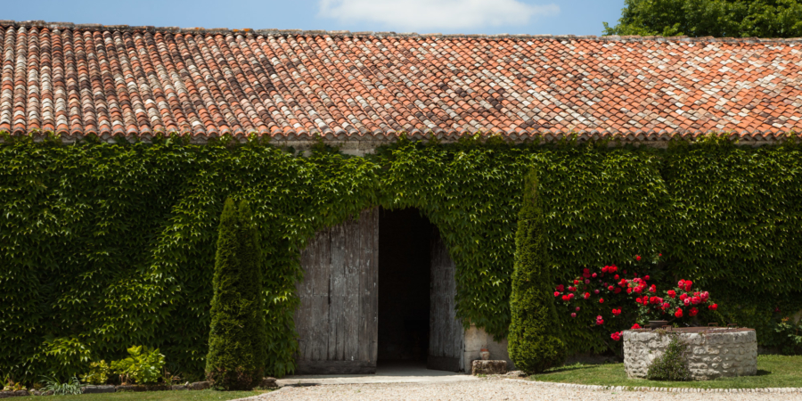 logis-du-paradis-criteuil-la-magdeleine-wedding-venue-barbezieux-saint-hilaire-logis-blanche/$a[1];?>