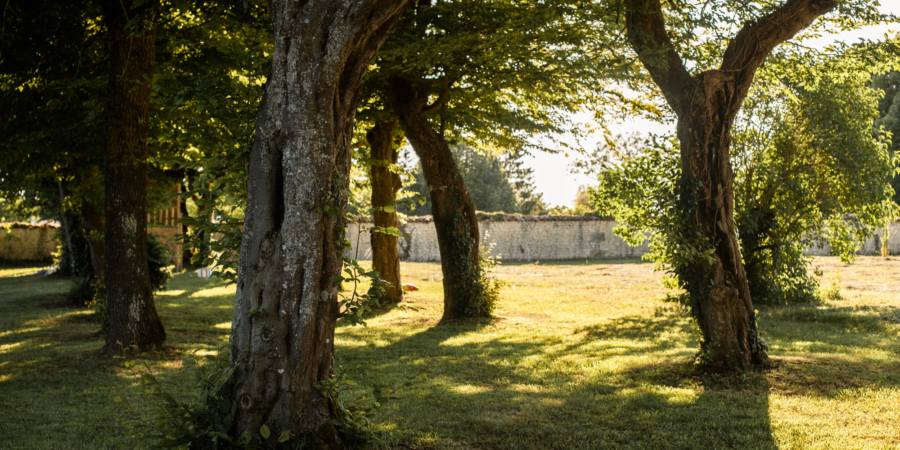 logis-du-paradis-criteuil-la-magdeleine-wedding-venue-barbezieux-saint-hilaire-logis-blanche/$a[1];?>