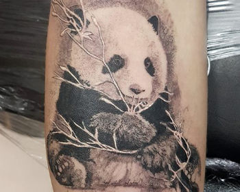 Piercing et tatouage à Bordeaux